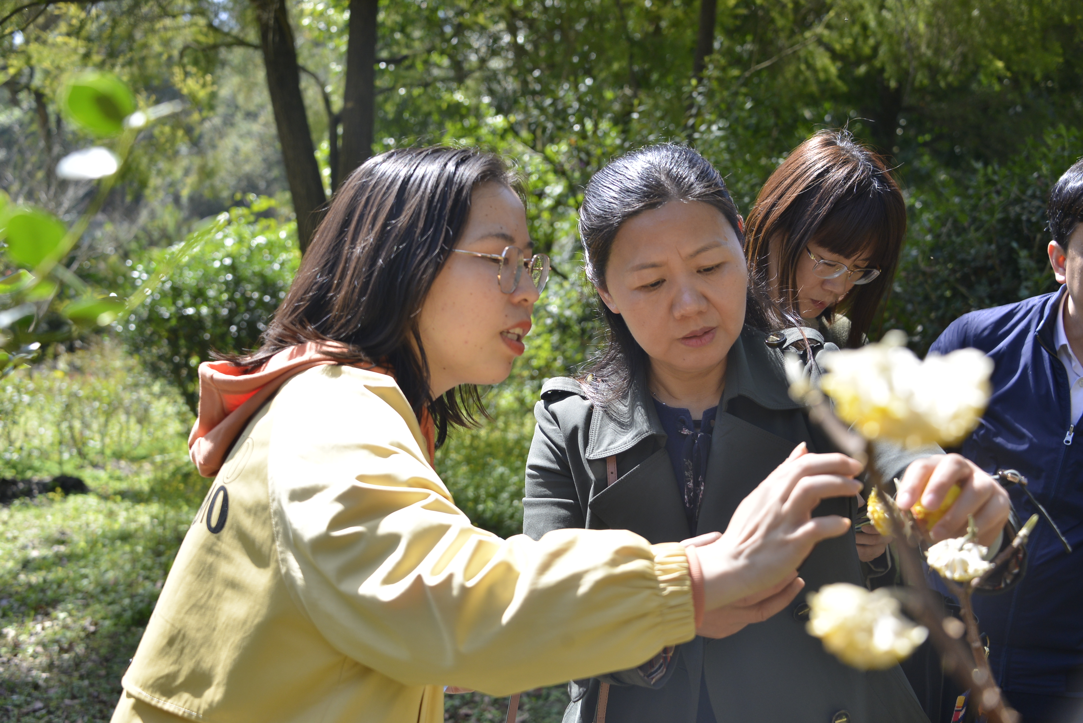桂林市人才服务中心：“不负春光， 绽放芳华”主题三八妇女节活动